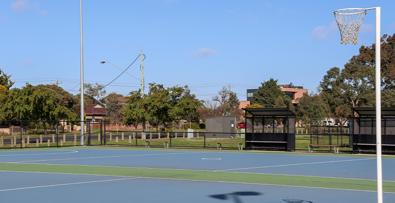 Basket boll ground