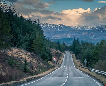 Foresty land scotland web