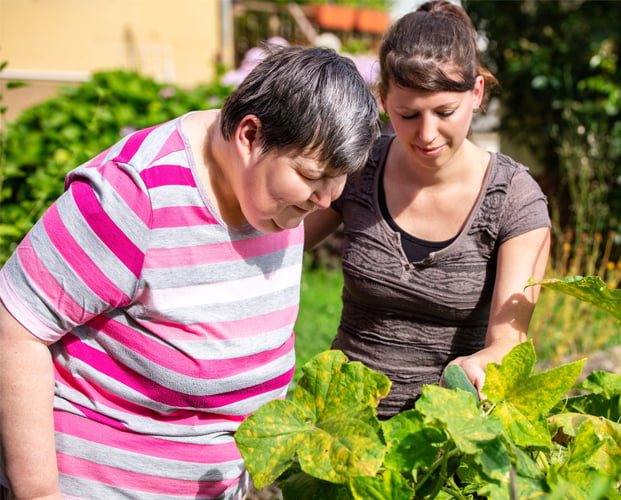 People looking in the vegetable garden